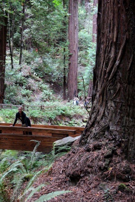 ���� ���